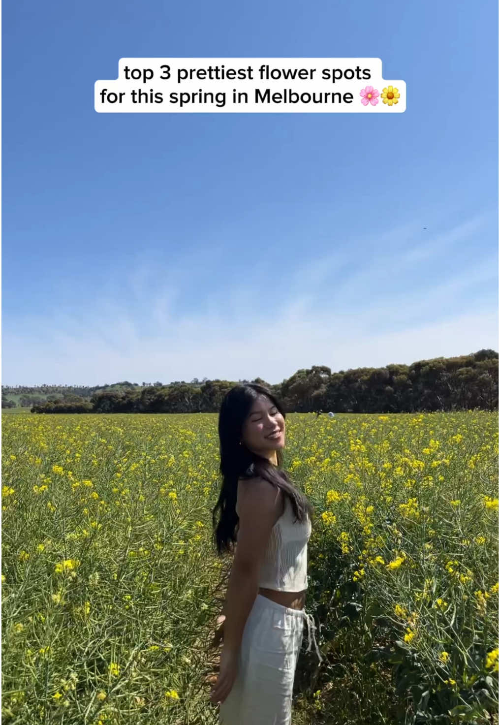 TOP 3 PRETTIEST FLOWER SPOTS TO VISIT THIS SPRING IN MELBOURNE 🌸🌼 spring is finally here and that means flower fields! 😍🌷 SAVE these for your next spring day trip or date idea:  📍🌾 Cornella Canola Walk, 507 Hamblin Rd, Cornella (Canola blooming NOW until 28th Sep) 📍🪻@Montsalvatartscentre, 7 Hillcrest Ave, Eltham (Wisteria blooming around 13th Sep for 2-3 weeks) 📍🌷@explorebendigo, Annual Bendigo Tulip Festival, Pall Mall, Bendigo (Tulips blooming 13th Sep - 12th Oct) FOLLOW for more spring day trips (we have many more!) 🍃💐 #visitvictoria #seeaustralia #travelaustralia #wisteria #mysecretmelbourne                          