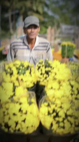 🌸🌸🌸🌸🌸#nhachaymoingay #tet #tet2026 #tetnguyendan2026 #xuhuong #xuhuongtiktok #nhacnaychillphet #thanhthoiluottet 