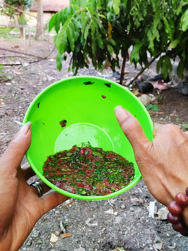 Daun bunga sepatu bagus untuk memberikan dan menjaga kulit wajah halus alami