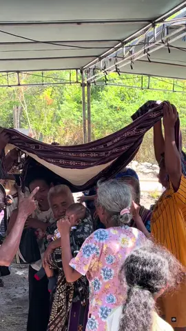 Tradisi Orang Timor🫡#nttpride🏝🔥 #nttpride🏝🔥kupangntt💯 #nttpride🏝🔥fypシ #nttpride🏝🔥fypシviral #tradisiorangtimor 