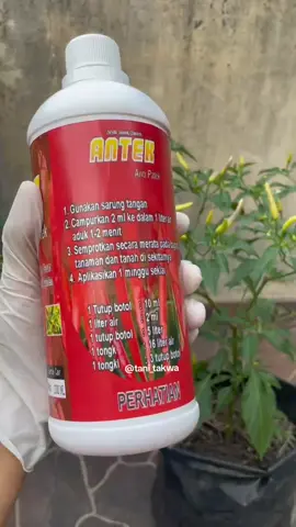 #antek #antipatek #tanitakwa #diskontiktokshop #belanjaditiktoklagi 