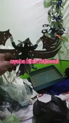 #fyp #fypシ゚ #bonekaninjalegend #bonekalipat #actionfigures 