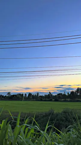 #fyp #อุบลราชธานี #รีโว้ซิ่ง #กะบะบรรทุกหนัก #ม่วง30พืชผล 