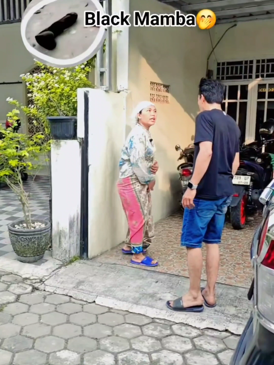 Membalas @prayd721 Black mamba ibu mertua simemet..😅🤣😂 #trending #video #komedi #lucu #keluargasimemet 