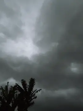 “失去的东西无法回头，即使回来了，也已不再完整。” “Thứ đã mất thì không thể quay lại, mà nếu quay lại cũng chẳng còn vẹn nguyên.” #xuhuong #fpy #tamtrang #buon #chill 