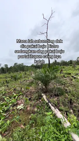 Jangan kau bandingkan dek🥲@𝕊𝕒𝕪𝕒 𝕞𝕚𝕤𝕜𝕚𝕟 @Alfian @Yogi #fyp#petani#lewatberandafyp#fyppppppppppppppppppppppp