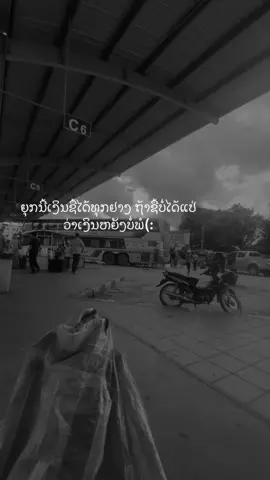 #creatorsearchinsights #ຟີດດດດດດດດ #ເຣດຄວາມຮູ້ສຶກ #เทรนด์วันนี้ 