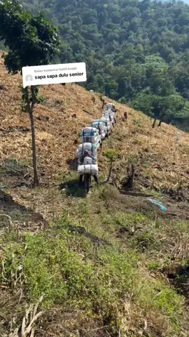 Membalas @kahfi.kappi sapa begini mo kanda 