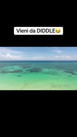 #accadeoggi #viral 