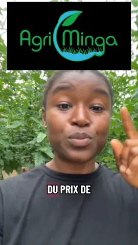 Reponse Generale a tous ceux qui veulent se renseigner sur l’installation des serres en Afrique.  Je recommande toujours @AgriMinga  Franchement allez y faire un tour sur le site, faites les simulations vous memes et vous aurez une idée des différents prix.  Site: agriminga.com N’hésitez pas a les contacter aussi  #serres  #agriminga #maraichage  #burkinatiktok🇧🇫🇧🇫🇧🇫❤️  #agriculture 