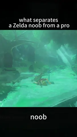 #zelda #zeldabreathofthewild #switch #funny 