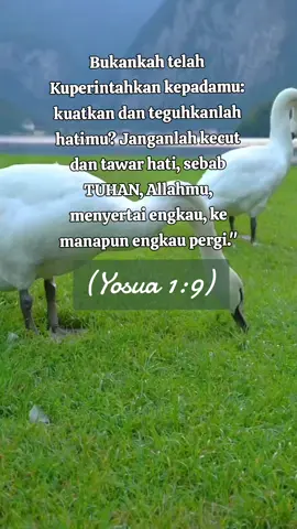 #ayatalkitab #ayatfirmantuhan#foryourpage #😇