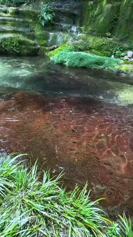 natureza linda 