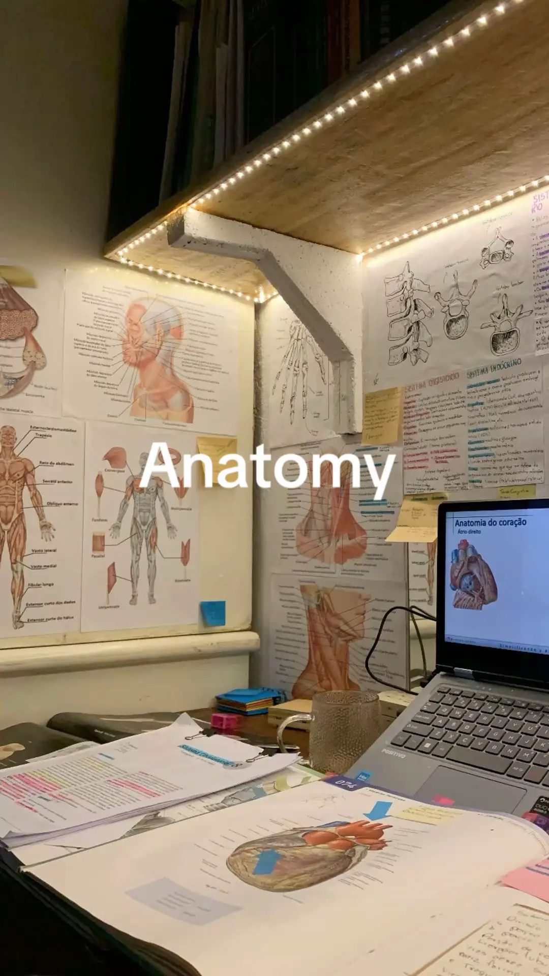 Sorry in advance for any mistakes, and thank you for watching 🙏😊. #Anatomy #HumanBody #art #LearnOnTikTok #healthtips 