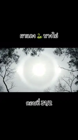 #ผาแดงนางไอ่ep31 #ผาแดงนางไอ่ 