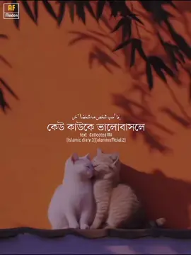 কেউ কাউকে ভালোবাসলে প্রকাশ করে দেওয়াটা সুন্নত!! #islamic_diary3 #alaminofficial2 #AF_modon #allah 