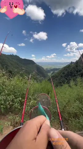 🤣🤣đam mê đến thế là cùng #lãogiacâucá 