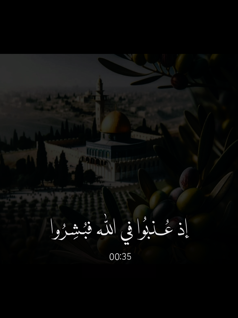 #اللهم_صلي_على_نبينا_محمد #غزة #اسلاميات #explore  @𝒒𝒖𝒓𝒂𝒏 𝒆𝒍𝒌𝒂𝒓𝒊𝒎 🇵🇸 