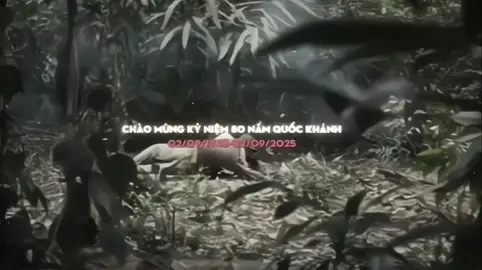 [02/09/1945-02/09/2025] CHÚC MỪNG KỶ NIỆM 80 NĂM QUỐC KHÁNH🇻🇳  #quockhanh2025 #vietnam #toiyeuvietnam #xuhuong #fyp 