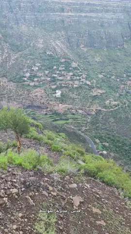 #مناظر_طبيعية #اليمن🇾🇪 #تعز#😍😍😍 