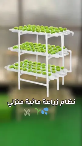 نظام زراعة مائية منزلي☘️💧#زراعة_منزليه #الزراعه_المائيه #mhbhydroponics #اكسبلور #hydroponics 