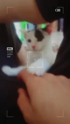 #العشق#الممنوع#احلاسنين❤✔️🇬🇧⚡📌💯💎🔥 #لبنان🇱🇧_سوريا🇸🇾_فلسطين🇵🇸_تركيا #الخليج_العربي_اردن_عمان_مصر_تونس_المغرب 