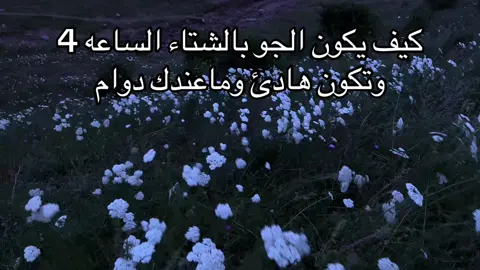 #هدوء #fyp #foryou #winter #شتاء 