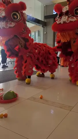 Selayang Hong Teck Lion Dance Cai Qing The Mines Chagee #grandopenings #liondragondance #liondancesports #fypシ゚viral #liondance2025 