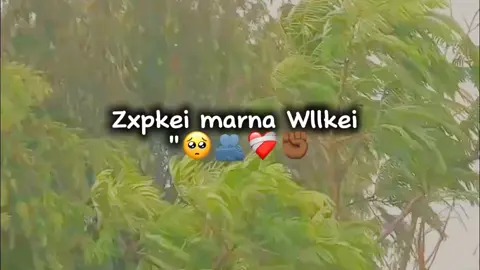 Part 4 | Wllkei 🥺🫂🤍
