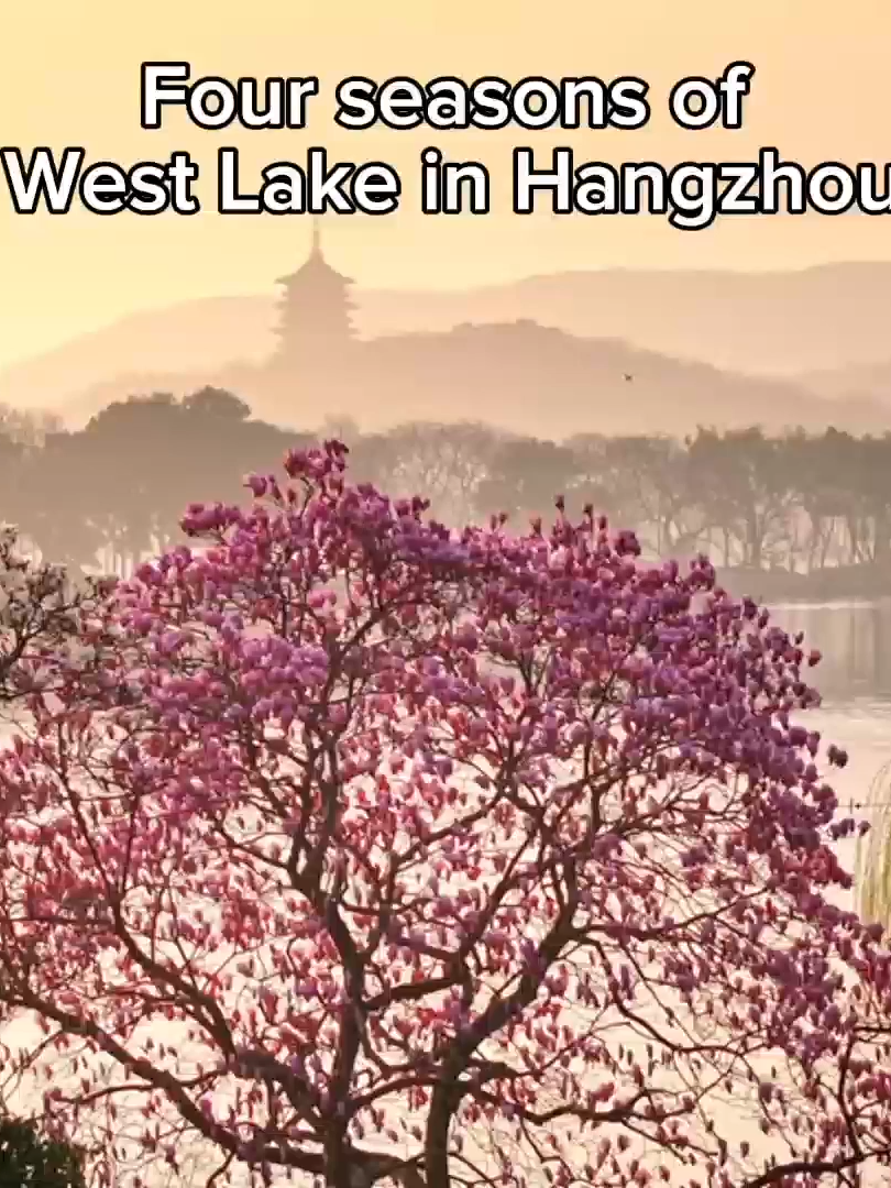 Four seasons of West Lake in Hangzhou