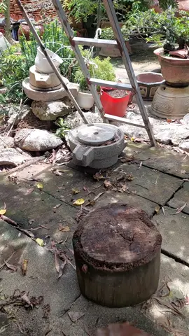 Bạn không thể ngay lập tức bỏ những gì bạn đã yêu, trừ khi bạn chưa bao giờ yêu nó.