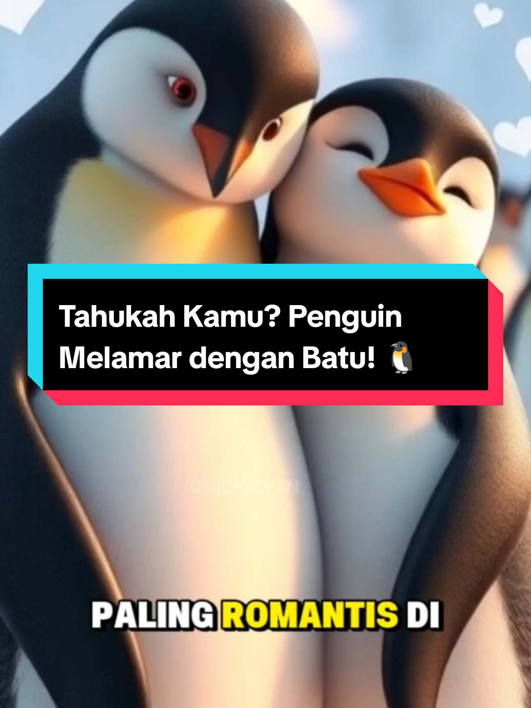 Tahukah kamu? 🐧 Penguin jantan melamar betinanya dengan cara memberi batu kecil. Kalau diterima, mereka jadi pasangan seumur hidup! 💍✨ #faktaunik #faktamenarik #pinguin #faktahewan #viralvideo 