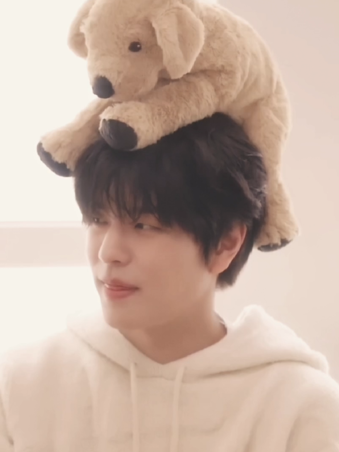 #SEUNGMIN : he's so cute I'll sob || sdt for lylyy biggest chetaer and seungholic I knwo probably here's your edit so stop asking me to edit him and seungjin @leeri || #kimseungmin #seungminedit #straykids #skz #ijeonyns #foryou #fyp 