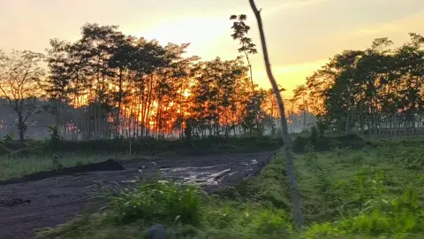 #jawatimur #jlslumajang #sunrise 