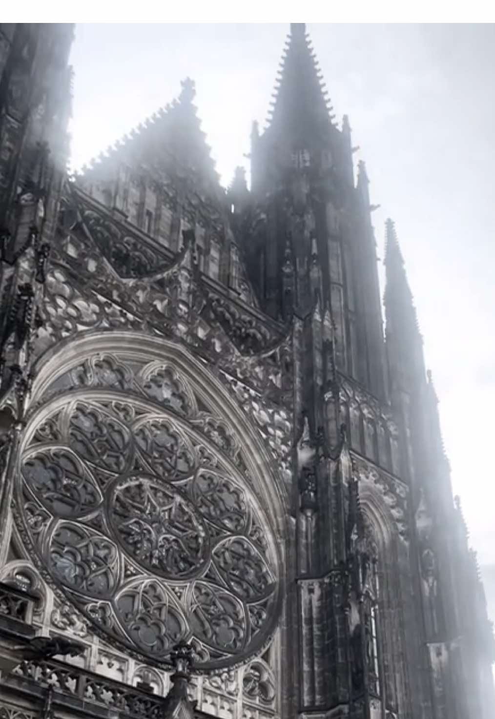 собор святого Вита тгк: twwilyforest  Собор причисляется к жемчужинам европейской готики, является художественной и национально-исторической святыней Чехии. В соборе погребены чешские короли и архиепископы Праги, там же хранятся коронационные регалии средневековой Чехии. Длина главного нефа собора 124 метра, высота Большой южной башни 96,5 метра. На западной стороне возвышаются две 82-метровые неоготические каменные башни с 10-метровым круглым окном в виде розетты между ними. Три портала кафедрального собора богато украшены скульптурами, каменными и бронзовыми рельефами. Доминантом в западном фасаде считаются две высокие стройные башни высотой 82 м, между которыми находится богато украшенный щит главного нефа с 15-метровым высоким стрельчатым окном с круглой розой, спроектированной Камилом Гильбертом. Отдельно роза имеет диаметр 10,4 м. Откос и ажурное декорирование вокруг окна, как и все окно, выполнены из песчаника. Витраж на тему «Сотворение мира» изготовлен в 1926—1928 годах по проекту Франтишека Киселы. На верхних краях розы стоят в табернатах статуи Святого Кирилла Александрийского и Святого Бенедикта. #gothicstyle #gothic #cathedral #castle #prague 