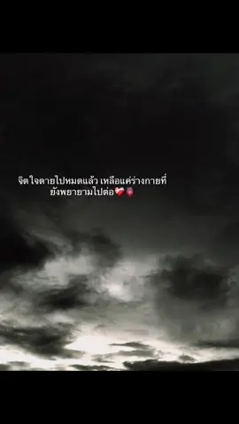 #สตอรี่ความรู้สึก #ฟีดดดシ #เธรดเพลง #ขึ้นฟีดเถอะของร้อง 