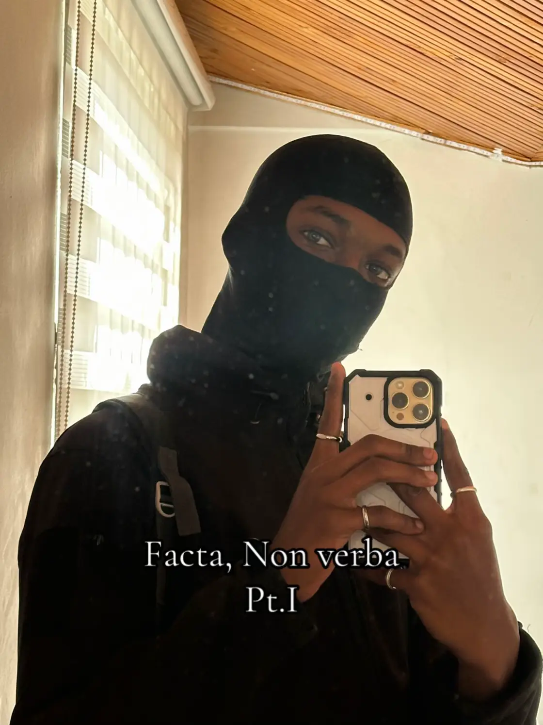 Facta, non verba