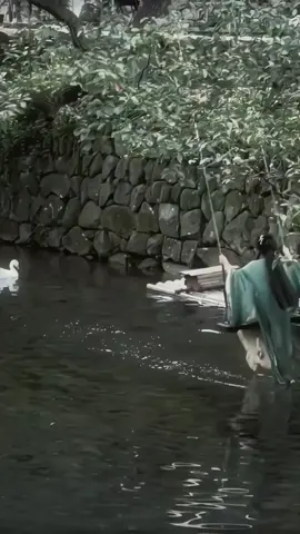 #foryou #fyp #phongcanh #nhaccophong #keduyentiensinh 