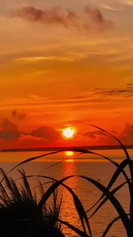 الصبر مفتاح الفرج جملة قصيرة لكنها تحمل بين حروفها حياة كاملة كم من انسان انكسر قلبه وظن ان النهاية #creatorsearchinsights 