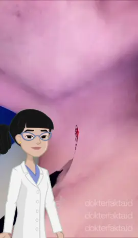 5 manfaat minum air panas setiap pagi. follow @dokterfakta.id untuk info lain seputar tubuh kamu. #airpanas 