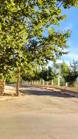 ❤️Tlemcen 13 ❤️.                                                                                                               #fypシ゚viral🖤tiktok #tlemcen #algerie_maroc_tunusie🇩🇿🇲🇦🇹🇳 