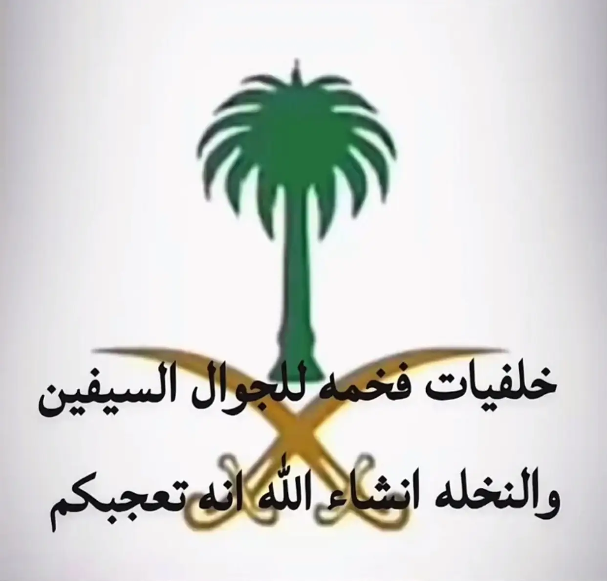 #اليوم_الرطني_السعودي🇸🇦🤍💚🇸🇦95 #دام_عزك_ياوطن💚🤍🇸🇦🇸🇦🇸🇦💚 🤍