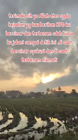 #ikansegarbandarlampung #ikanmurahbandarlampung #ikanmurah #cekermurah #lapakikansegarsidosari 