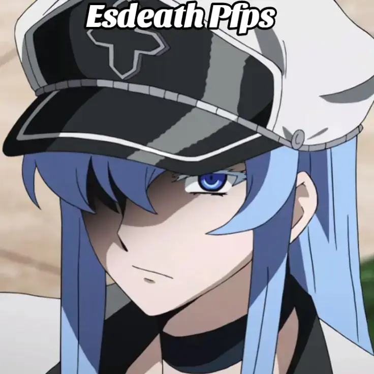 #esdeath#akamegakil#akamegakill#pfps#fyp 