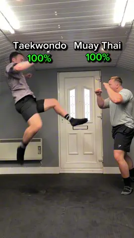 Taekwondo vs Muay Thai 