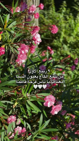 #فرحة_الزهراء_9ربيع_الاول #فاطمة_الزهراء #تتويج_الإمام_المهدي #الكويت #حساويه 