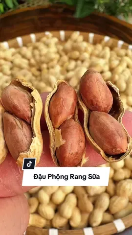 Đậu phộng rang sữa thơm ngon, giòn beo #dauphong #lacrang #dauphongrangsua #dauphongrangsuanguyenvo #khatrainghiem 