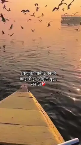 #fypシ 