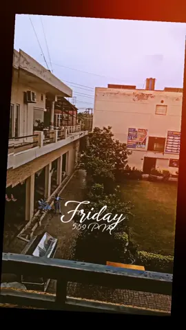 1st students thoughts 😂#punjabians 