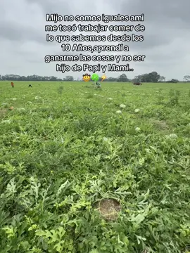 #sandia#ecuador#agropecuario#videoviral#@Andres Franco 